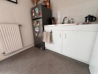 Appartement entier avec 2 terrasses - Le Mans - 8