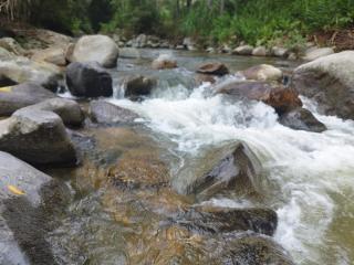 Conteiner do mano - 0