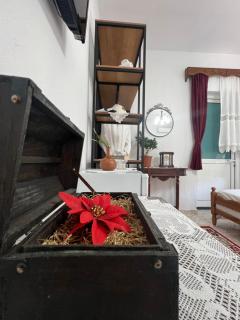 Dalipi's House - Gjirokastër - 5