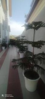 Nobel Nest Nook - Srinagar - 9