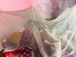 Amaranth Homestay - 2