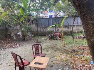 Tin House - Daca - 2