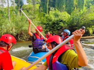 Sinharaja Vini Villa - 9