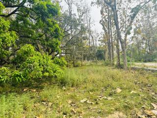 Nature View Homestay - Nichlaul - 1