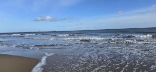 South Shields Costal Rooms - South Shields - 9