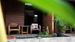 Koko Palm Inn - Chiang Mai - 5