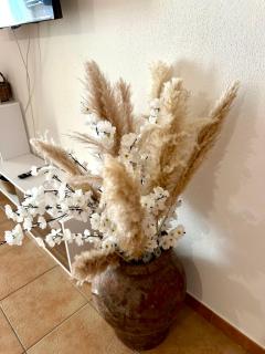 Roma 19 - Castelsardo - 6