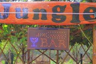 Bush Adventure Guest House - Kasane - 4