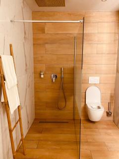 Loft privatif avec Jacuzzi et sauna All in One - Entzheim - 5