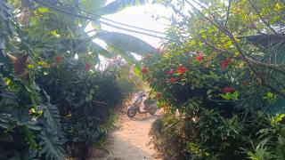 Beverly Dinesh Homestay - Tiruvannāmalai - 5