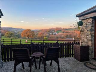 The Mary Tavy Inn - Tavistock - 7