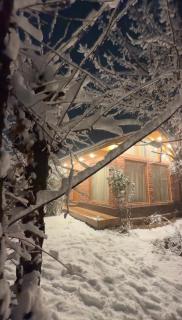 Nigeen Vista Lakeside Chalet - Srinagar - 7