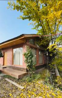 Nigeen Vista Lakeside Chalet - 9