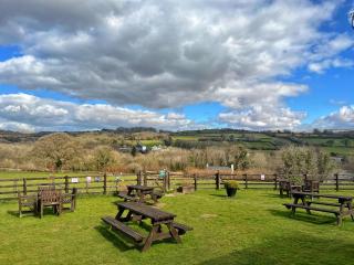 The Mary Tavy Inn - Tavistock - 6