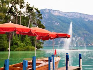 Appartement Annecy centre avec parking privé, proche lac et commerces - FR-1-432-41 - 5