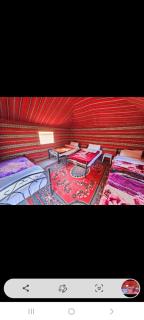Star City Camp wadirum - Wadi Rum - 6