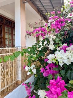 La Suite Bougainvillier - Bellefontaine - 6