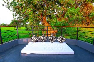 Royal Boathouse - Alleppey - 7