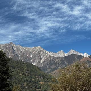The Locals Manali - 3