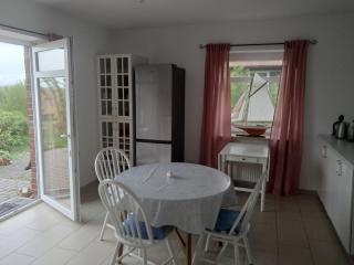Robbe - Friedrichskoog - 7