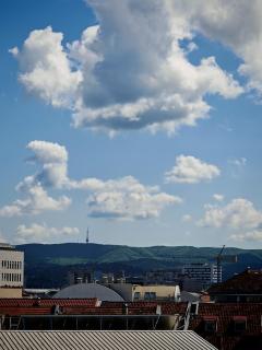 TeMi - Novi Sad - 8