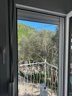 The Olive - 6
