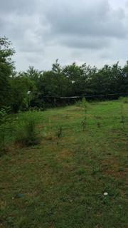 Himalayan Huts - Srinagar - 8