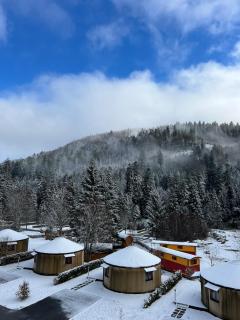 Le cocon de La Bresse - La Bresse - 3