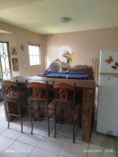 Casa de veraneio norte - Poços de Caldas - 4