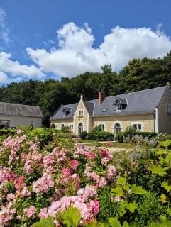 Château de la Menaudière - Chissay-en-Touraine - 8