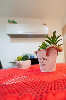 La piazzetta - Norma - 5