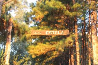 Camping Doña Estela - Leandro N. Alem - 0