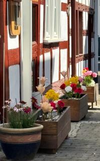 Bella Haus close to Frankfurt Messe - Dreieich - 5