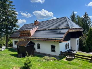 Schwarzwald-Villa mit Indoor-Pool - Feldberg - 9