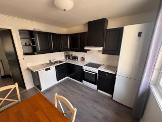 Trolltunga Apt for up to 5 people with balcony - Tyssedal - 1