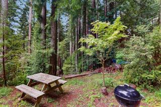 Serene Redwood Retreat - Arcata - 2