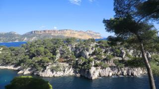 Port Pin - Cassis - 3