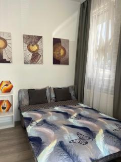 Sofy apartman - Niš - 3