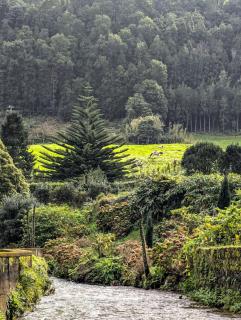 Hotel Vale Verde - Furnas - 3