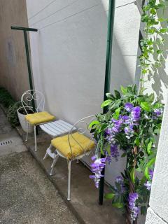Apartment House Aria - Baška Voda - 7
