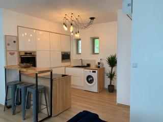 Appt Place Gramont - Pau - 1