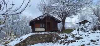Cabana Plaiul Bucovinei - Câmpulung Moldovenesc - 8