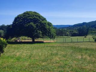 Country house with large enclosed grounds - Irijoa - 8