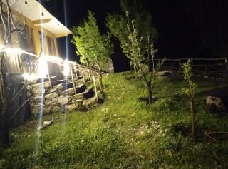 The Himalayan Walnut House - Tirthan - 2