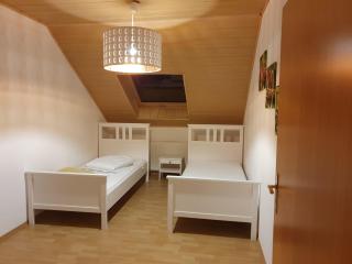 Quickstay Apartments - ganze Wohnung in Miesau - Bruchmühlbach-Miesau - 4