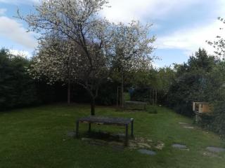 Apartamentos Rurales Alvado - Tamajón - 9