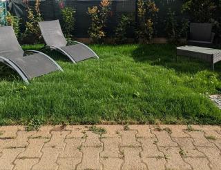 Confortable et moderne avec jardin privé - Appartement Sauge - Thonon-les-Bains - 0