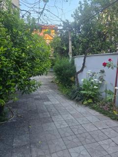 Joel House Tirana - Tirana - 2