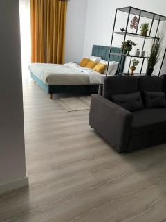 Sfara Residence Apartament 3 - Baia Mare - 8
