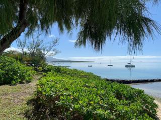 Waka Lodge - House with garden - Blue Bay - 8